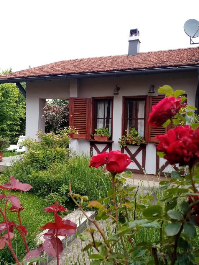 Ferienwohnung Nikolija 1 Bajina Basta Exterior foto