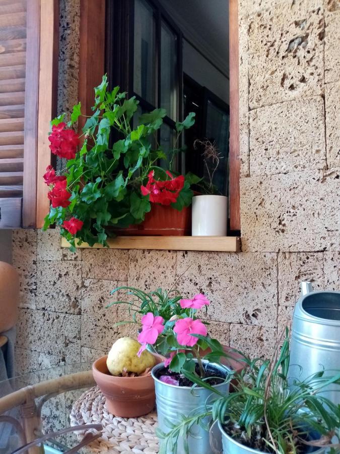 Ferienwohnung Nikolija 1 Bajina Basta Exterior foto